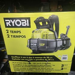 Ryobi 2-cycle Gas Backpack Blower