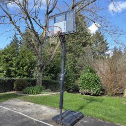 Free Adjustable Height Basket Ball Hoop