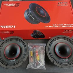 NEW ! 6.5" Coaxial PRO Mids . Horn 