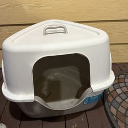 Cat Litter 