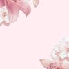 HD Flowers 💐