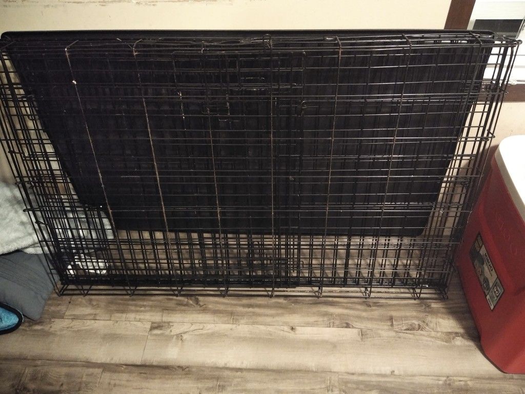 Large cage