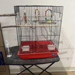 Birds Cage With Toys 