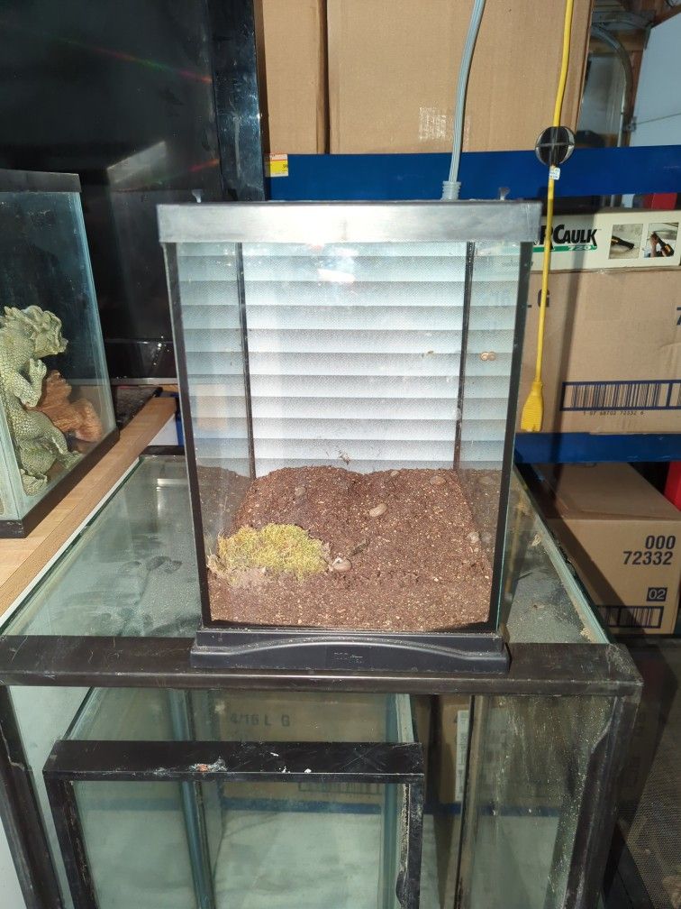 Small Terrarium