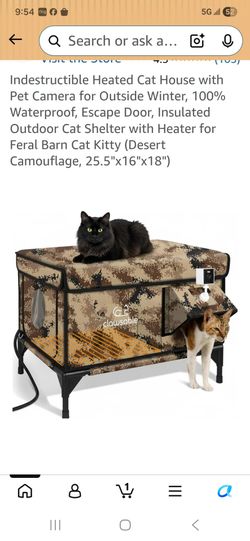 Cat sanctuary