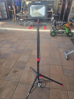 Portable light