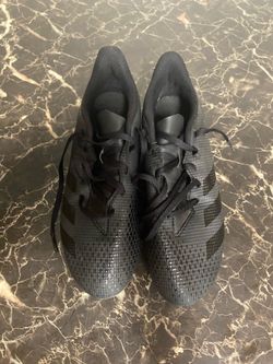 Black predators with stripes