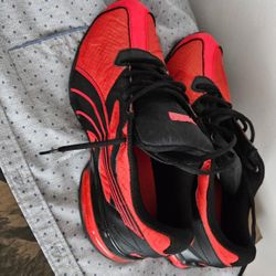 Pumas 