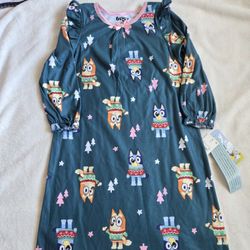 Bluey Nightgown 5T 