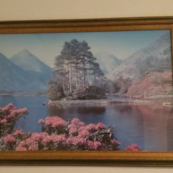 Large Painting $30 OBO