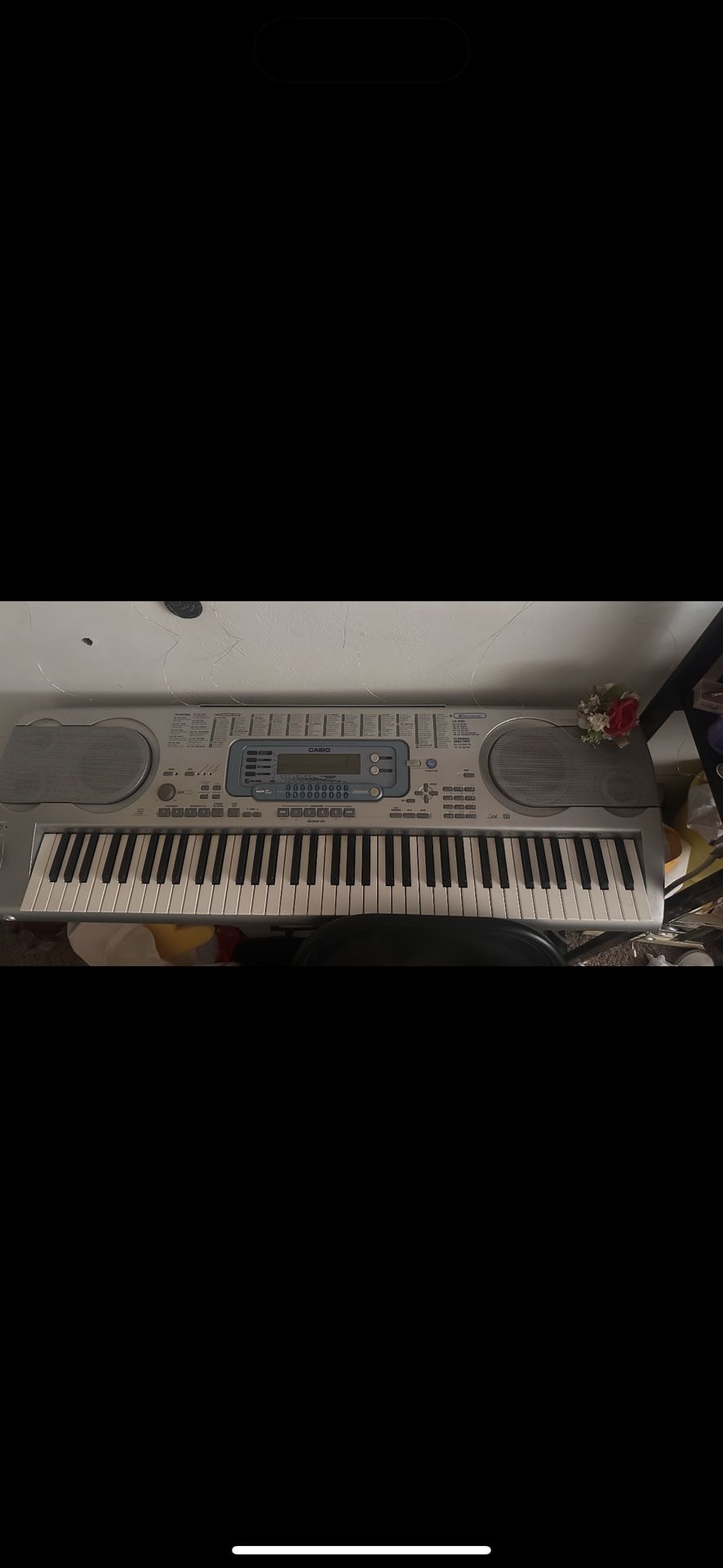 Casio Wk3000 Keyboard