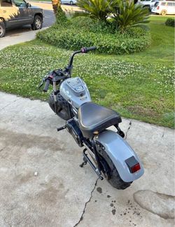Gas mini bike