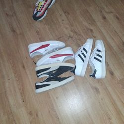 Pumas