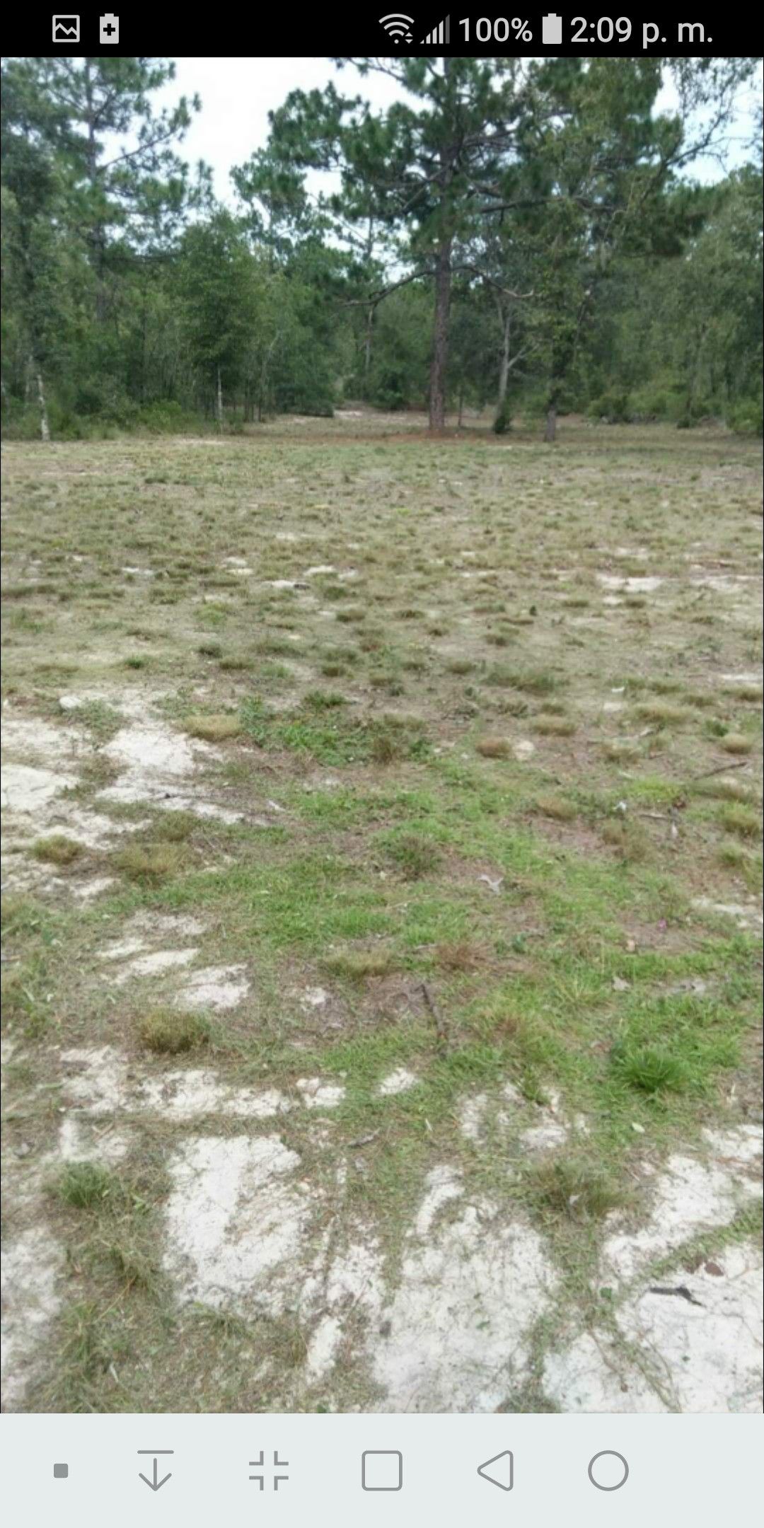 TERRENO BARATO EN BRONSON FLORIDA