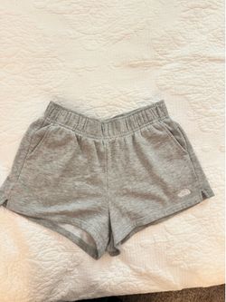 The north face shorts