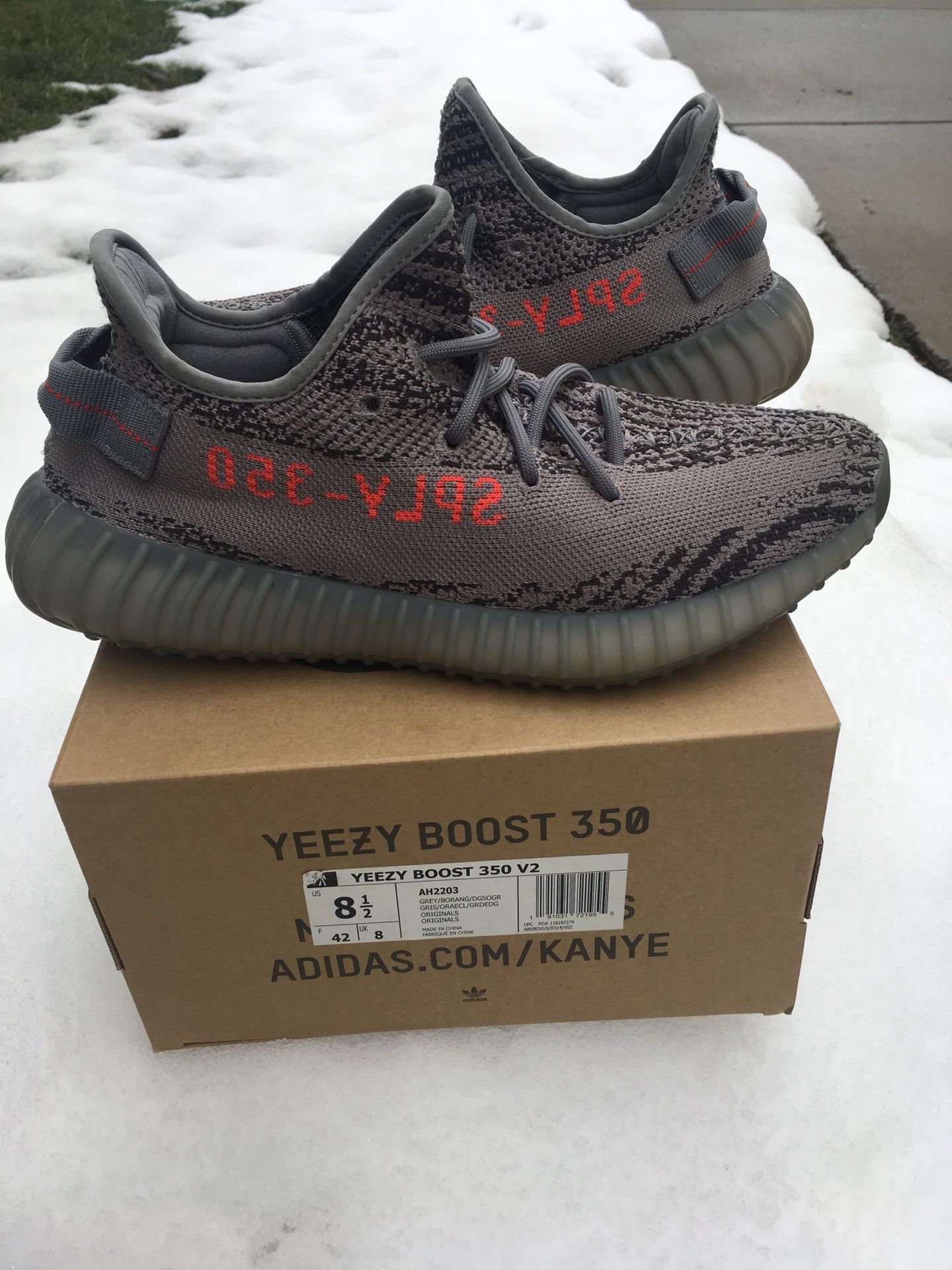 Beluga 2.0 V2