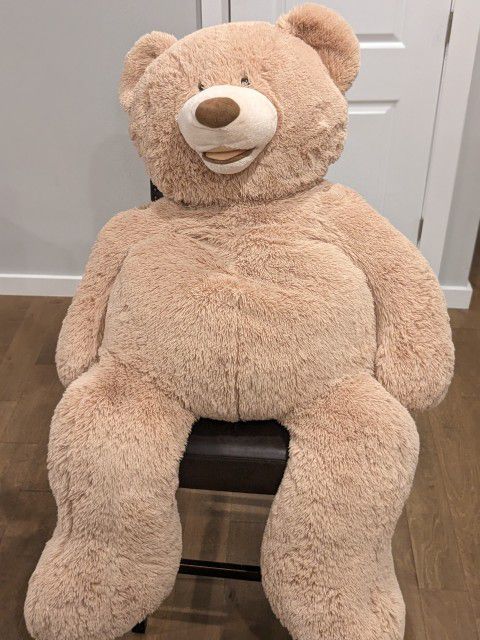 Very Large size Teddy bear For Sale 