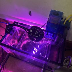 Saltwater Refugium Fish Tank with Kessil LED HOB Skimmer Pumps & more - Sump Aquarium 10 Gal