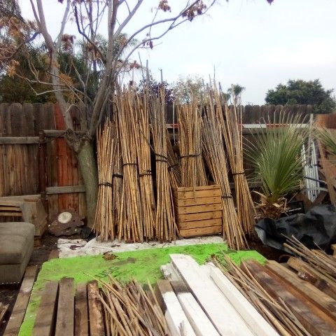 3 To 8 Ft Bamboo Bundles