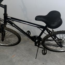 Roadmaster mountain bike