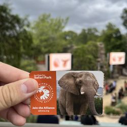 San Diego Zoo tickets (discounted)