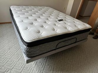brand new beds $10 starts it 🎉