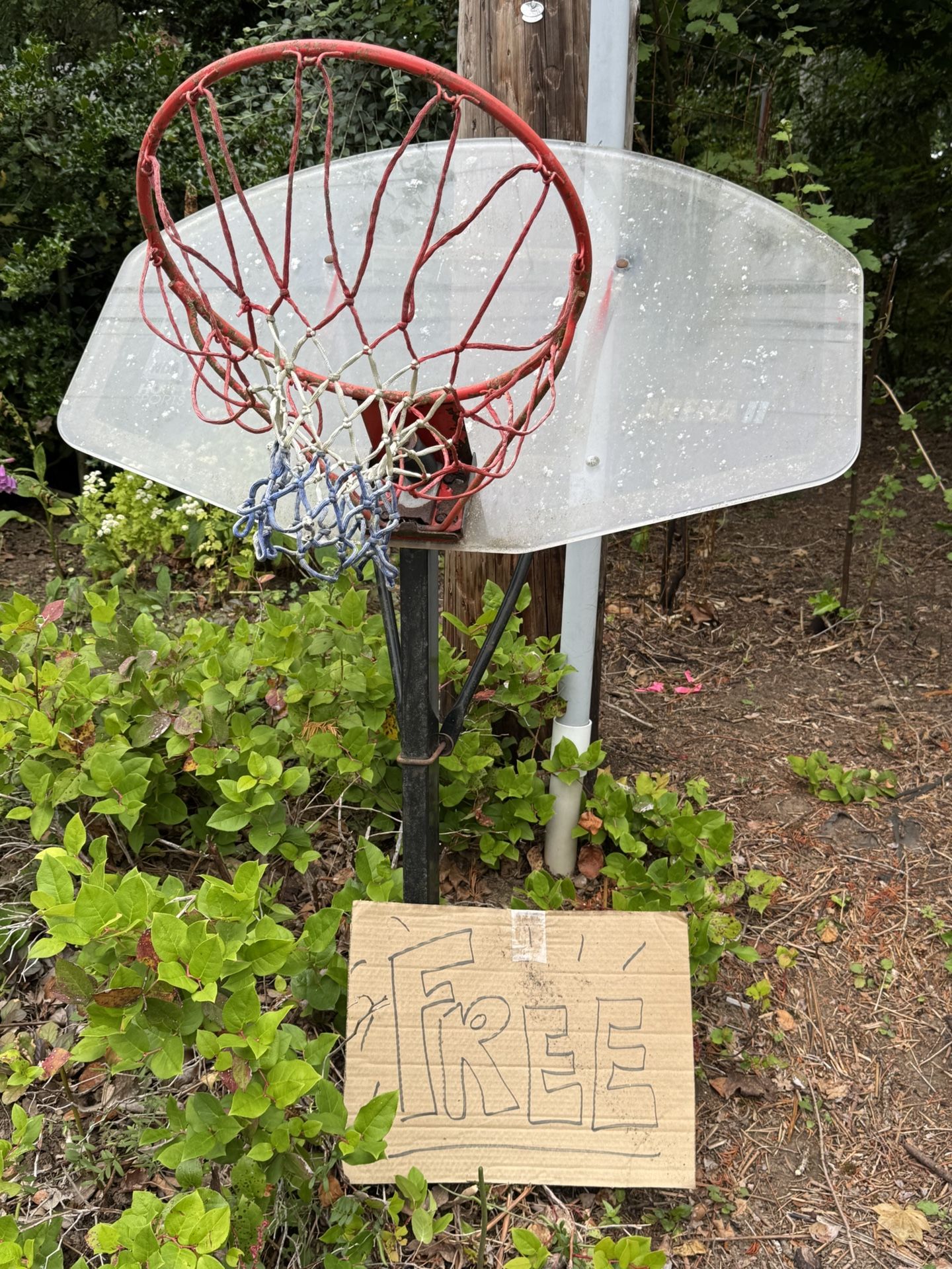 FREE Used Basketball Hoop, Backboard, and Pole
