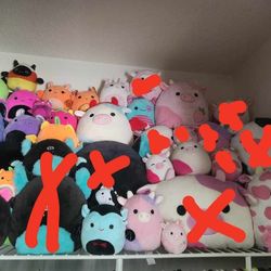 Squishmallows Bundle Bats And Cows Squishmallow