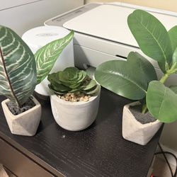 Plastic Desktop Succulents