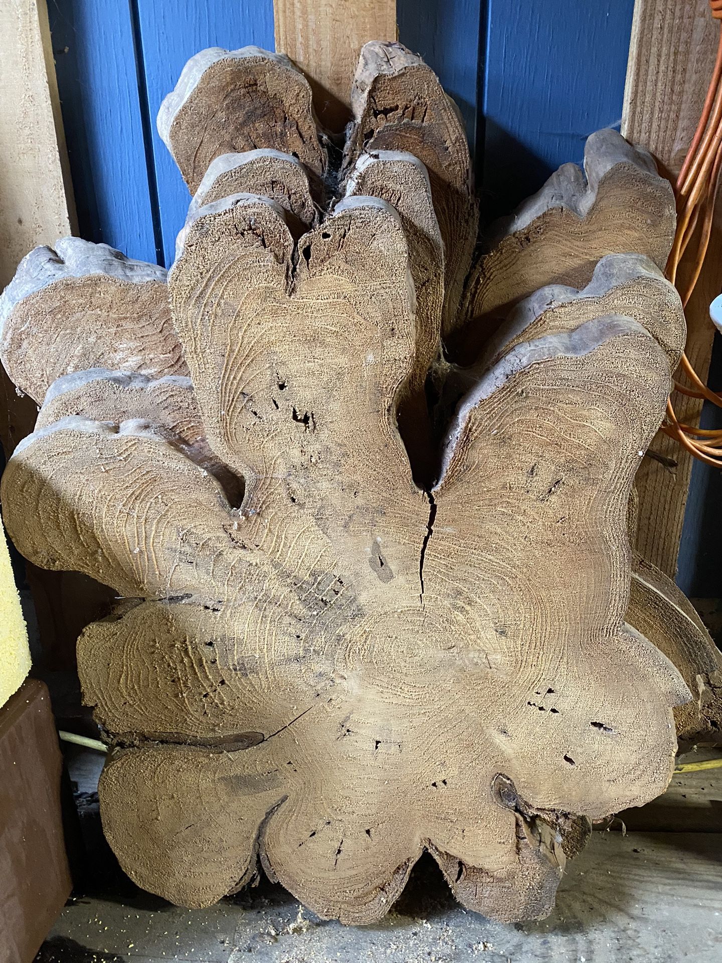 Live Edge Cedar Art Project