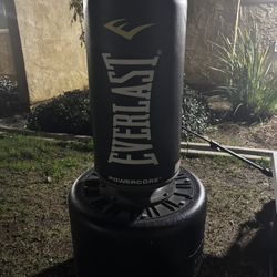 Everlast Power core Standing indoor Rounded