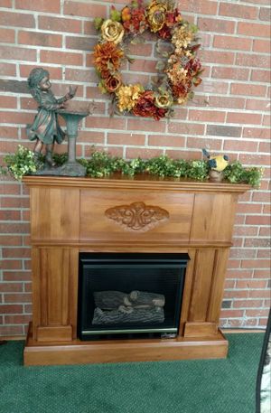 Perfecta Gas Fireplace By Winrich For Sale In Pendleton In Offerup