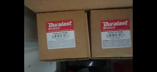 2 Rear Independent Shocks Without Strut