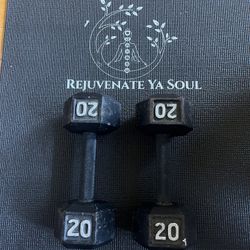 Brick Dumbells 20lb Very Solid