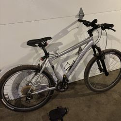 Adult Mountain Bike