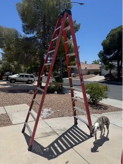 Werner 10ft ladder,