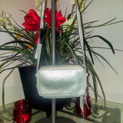 Cute Silver Crossbody Bag With Adjustable Strap