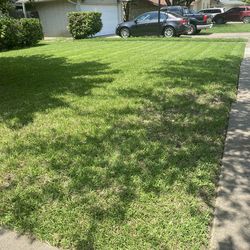 We Cut Lawns