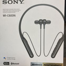 Sony BT Sound Cancelation Earbuds