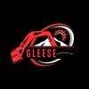 Gleese incorporation 