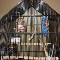 Bird Cage 
