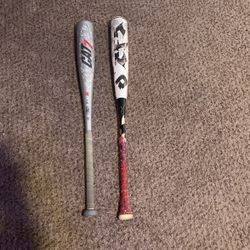 2 Baseball Bats