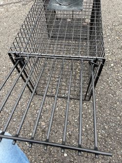 Live Animal Trap