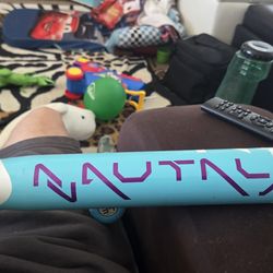 Demarini Dale Brungardt softball bat