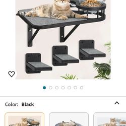 Cat Bowl With Wall Mount & Steps