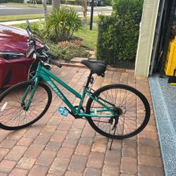 Women's 7-Speed Bike