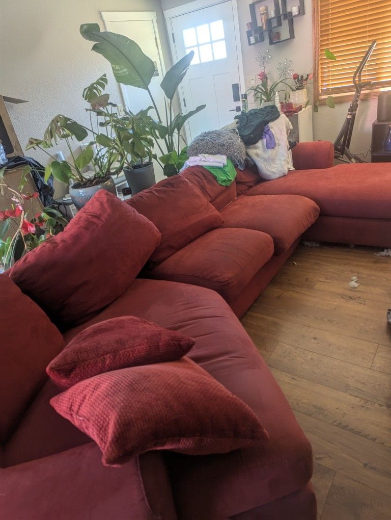 Couch! 100$ OBO