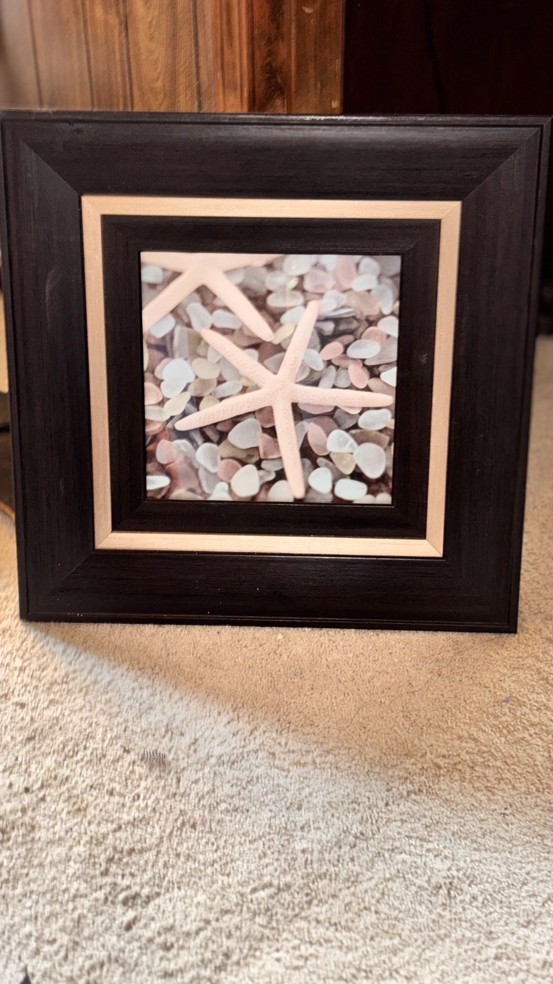 Framed Art Print 'Aquatic 1' by Alan Blaustein