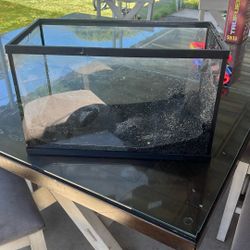 Fish Tank 