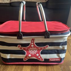 Insulated Picnic Basket